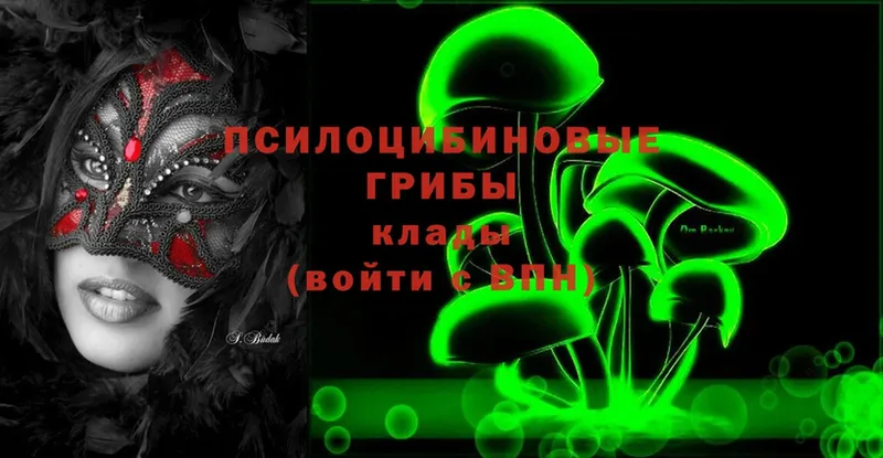 Псилоцибиновые грибы Magic Shrooms  kraken как войти  Агрыз 